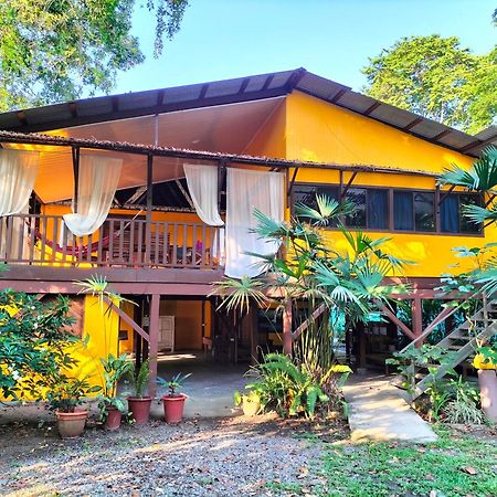 Cabinas Coconut Grove Puerto Viejo de Talamanca Dış mekan fotoğraf