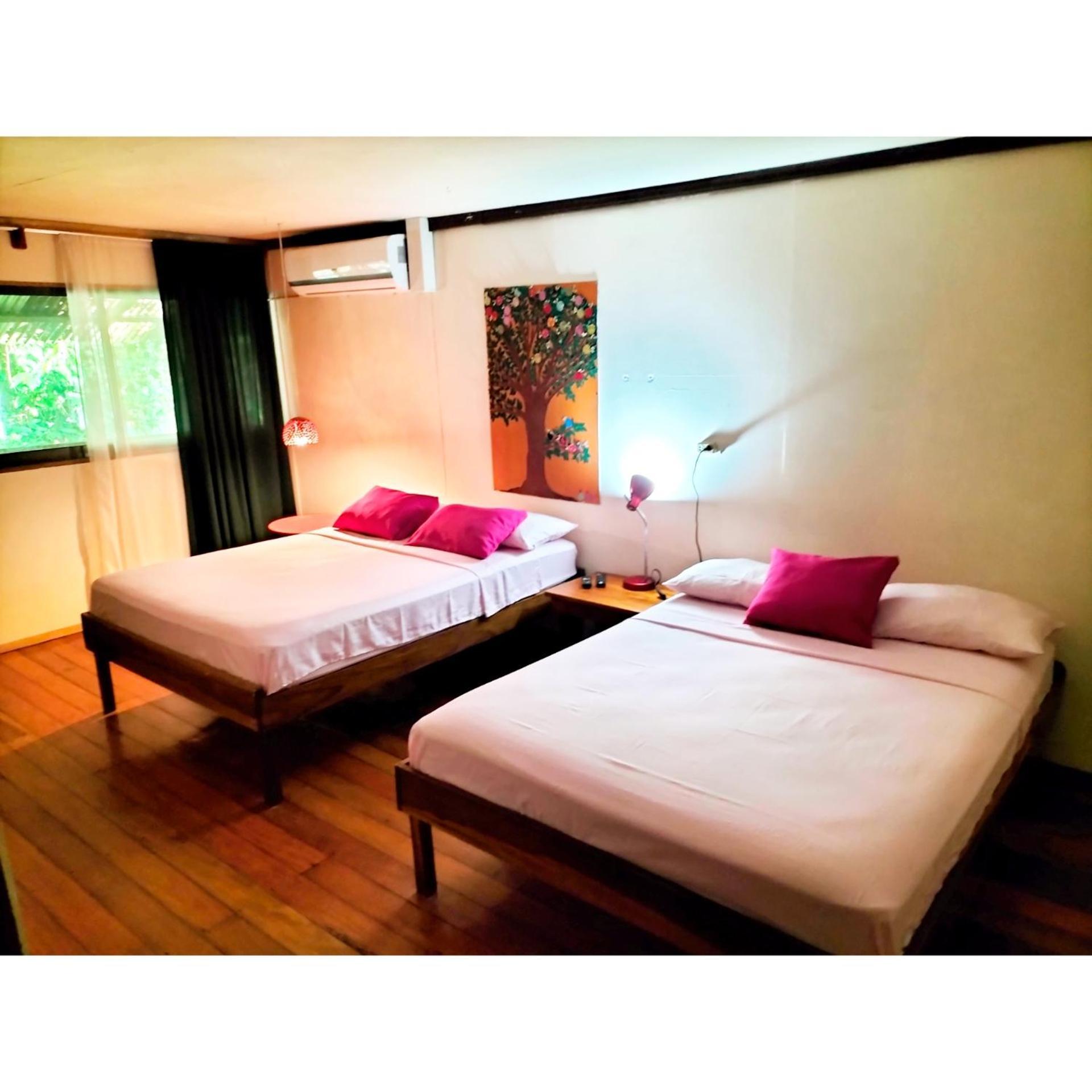 Cabinas Coconut Grove Puerto Viejo de Talamanca Dış mekan fotoğraf